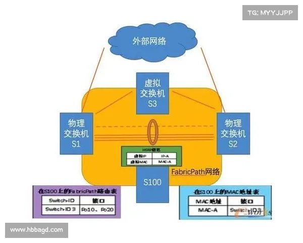 畅游虚拟网络世界的十大探险技巧与实用窍门分享 畅游虚拟网络世界的十大探险技巧与实用窍门分享