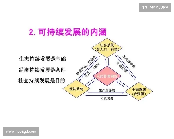 掌握足球俱乐部财务管理的核心技巧与策略助力俱乐部可持续发展